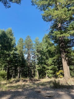 /international/us/8a-los-griegos-jemez-springs-nm-110090587436/