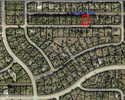 /international/us/671-opal-street-sw-palm-bay-fl-110120109765/