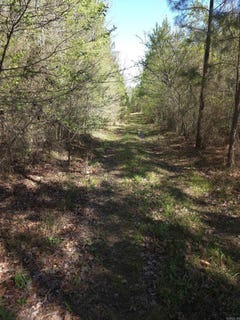 /international/us/shawmut-road-murfreesboro-ar-110107200827/