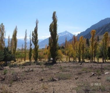/international/us/1239-swall-meadows-rd-bishop-ca-110099977033/