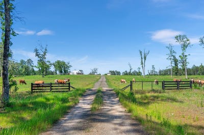 /international/us/1681-county-road-3400-colmesneil-tx-110105928047/