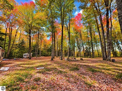 /international/us/third-kalkaska-mi-110120551276/