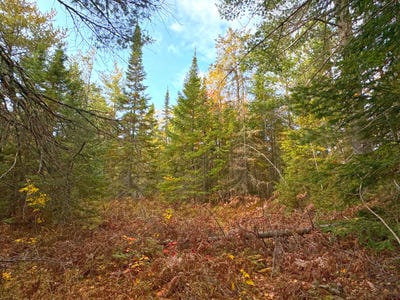 /international/us/14859-n-whitefish-point-rd-paradise-mi-110101192050/?lang=zh-tw