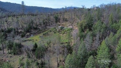 /international/us/71-log-cabin-ln-douglas-city-ca-110106347780/