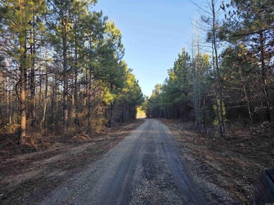 /international/us/400-southwood-lane-rison-ar-110105733219/