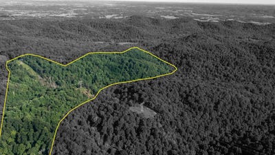 /international/us/1300-block-homestead-valley-rd-new-hope-ky-110101371665/?lang=zh-cn