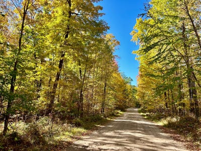 /international/us/on-arbutus-point-ln-pickerel-wi-110101115016/?lang=zh-tw