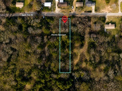 /international/us/apple-tree-road-gilmer-tx-110108658341/