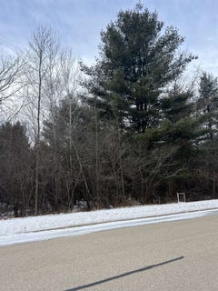 /international/us/bitters-avenue-oconto-wi-110106618357/