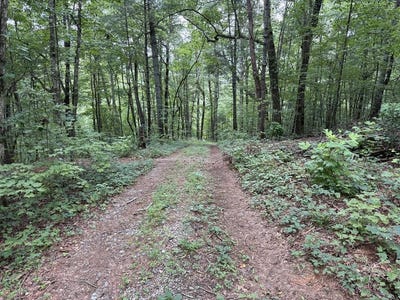 /international/us/lot-18-larue-lane-ellijay-ga-110101177371/