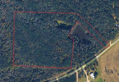 /international/us/7241-county-road-22-auburn-al-110107016260/