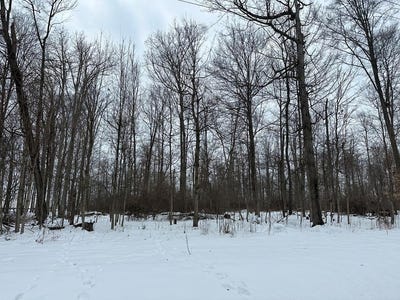 /international/us/grant-rd-howard-oh-110106022097/