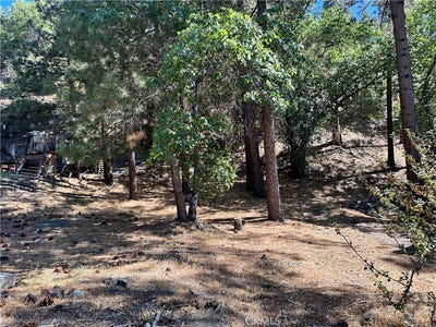 /international/us/0-heath-creek-drive-wrightwood-ca-110101830166/