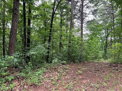 /international/us/198-log-round-mountain-trail-ellijay-ga-110101064649/?lang=zh-cn