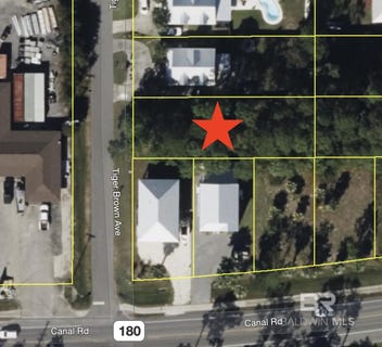 /international/us/tiger-brown-avenue-lot-12-orange-beach-al-110101368497/