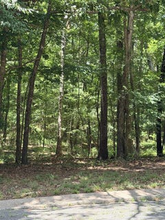/international/us/colonial-park-drive-white-hall-ar-110109414467/