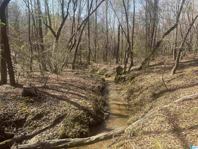 /international/us/crystal-lake-road-lot-0-west-blocton-al-110106677668/