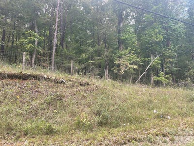 /international/us/3155-scott-road-great-falls-sc-110120136067/