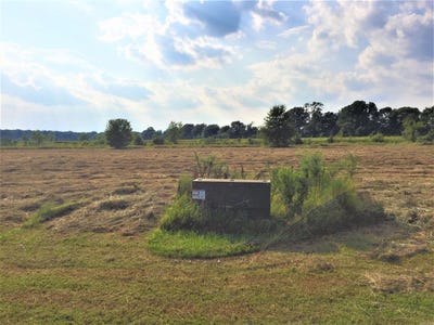 /international/us/mound-view-drive-lot-304-england-ar-110104512491/