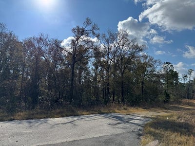 /international/us/00-logan-plantation-lot-88-89-douglas-ga-110104411867/