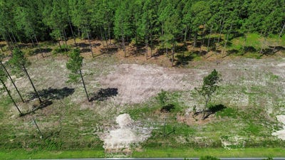 /international/us/0-wilbur-pridgen-rd-harrells-nc-110108467963/
