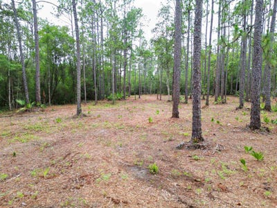 /international/us/ne-lowery-acres-road-hosford-fl-110100723237/