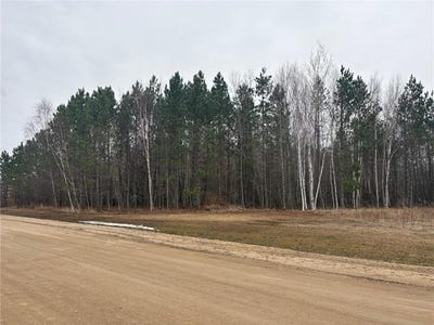 /international/us/2083-stanton-drive-baudette-mn-110107784969/