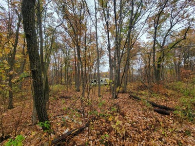 /international/us/lost-lake-trail-cushing-mn-110120556570/