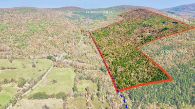 /international/us/393-b-g-partridge-rd-windham-ny-110103421592/