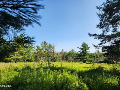 /international/us/lot-30-skyline-drive-delanson-ny-110101011821/