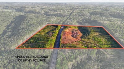 /international/us/highway-269-parrish-al-110107939350/