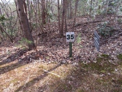 /international/us/11-matthews-creek-road-cleveland-sc-110109544824/