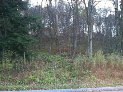 /international/us/101-shelby-lane-shippenville-pa-110035240157/