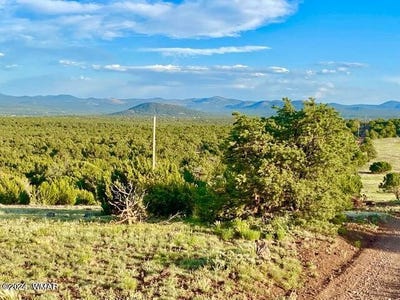/international/us/0-n3208-lot-c-9-81-acres-vernon-az-110092922840/