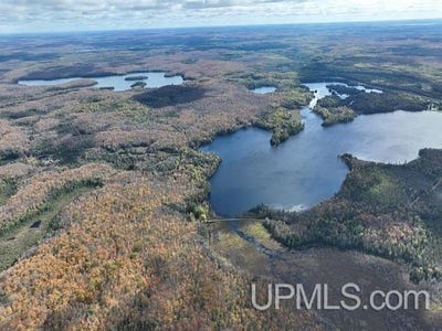 /international/us/5800-wolf-lake-road-watersmeet-mi-110087743949/