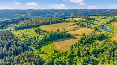 /international/us/153-stone-ridge-drive-jefferson-ny-110101366930/?lang=zh-tw