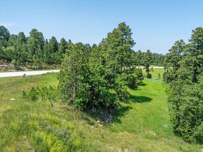 /international/us/lot-1-us-highway-85-deadwood-sd-110101193974/?lang=pt