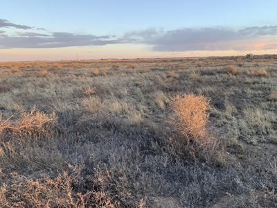 /international/us/loma-del-sol-lots-2-4-avenue-moriarty-nm-110107307204/
