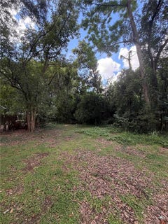 /international/us/n-rhodes-street-mount-dora-fl-110110407362/