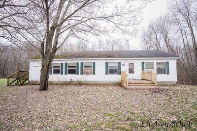 /international/us/2299-lyle-road-ionia-mi-110107002395/