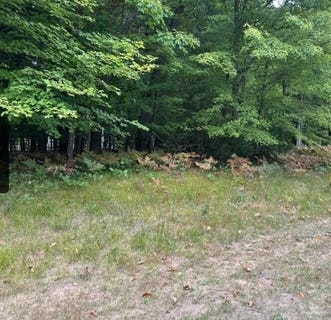/international/us/7250-oak-meadow-drive-twin-lake-mi-110101153221/