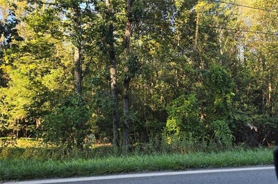 /international/us/nc-highway-89-e-walnut-cove-nc-110108825543/