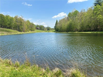 /international/us/734-post-road-franklin-ny-110108148564/