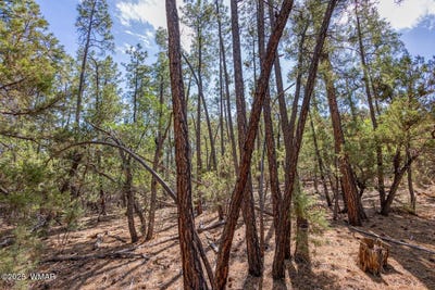 /international/us/2038-pine-wood-lane-pinetop-az-110100535134/