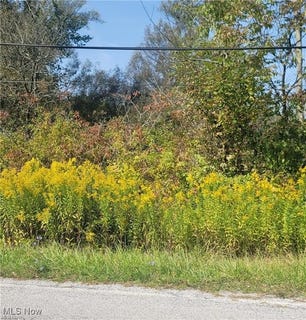 /international/us/hartville-road-n-atwater-oh-110099186672/