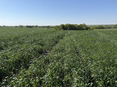 /international/us/tbd-b-h-highway-415th-street-ford-city-mo-110097014952/