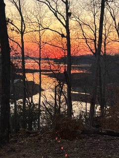 /international/us/306-streamside-drive-dover-tn-110098939948/