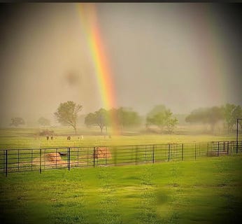 /international/us/14570-box-road-lexington-ok-110108106266/