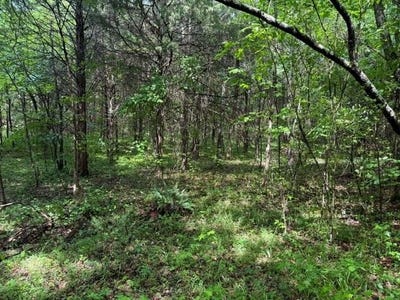 /international/us/04-freeze-rd-lot-4-morrison-tn-110108469021/