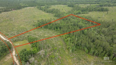 /international/us/phillips-road-lot-corry-f-lot-21-stapleton-al-110108543301/